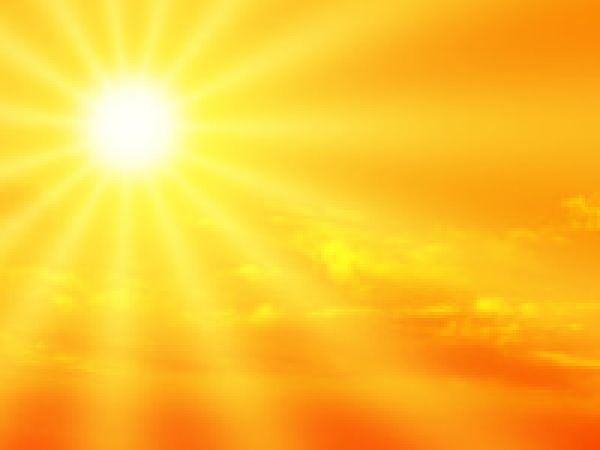 sole