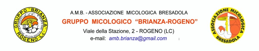 micologico